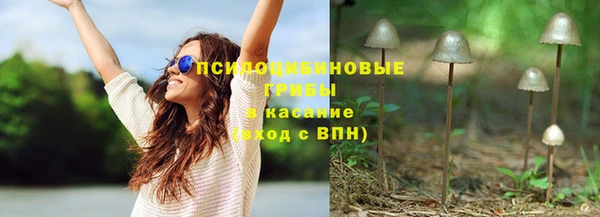 круглые Алексеевка