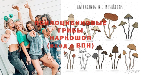 не бодяженный Алексин