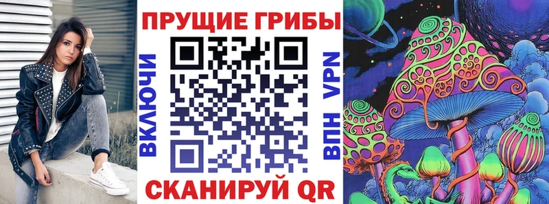 Псилоцибиновые грибы мицелий где продают mega вход Челябинск