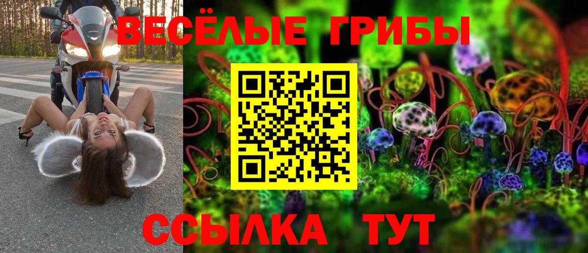 Галлюциногенные грибы прущие грибы Челябинск