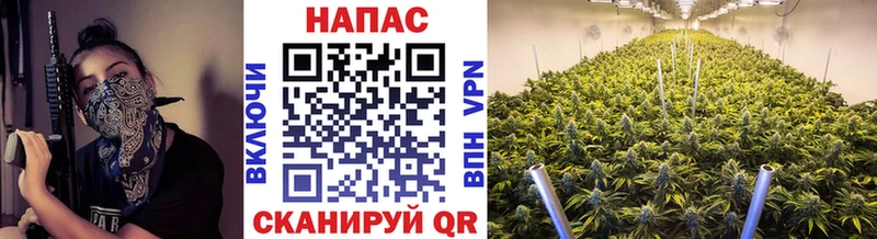 Бошки марихуана Ganja Челябинск